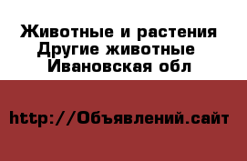 Животные и растения Другие животные. Ивановская обл.